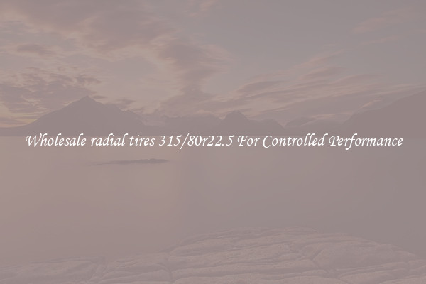 Wholesale radial tires 315/80r22.5 For Controlled Performance