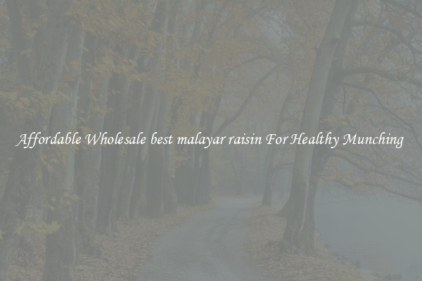 Affordable Wholesale best malayar raisin For Healthy Munching 