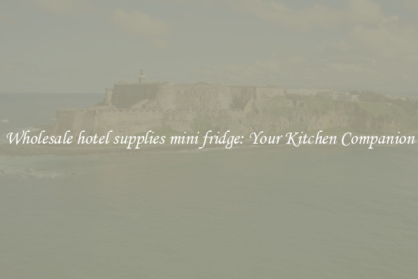 Wholesale hotel supplies mini fridge: Your Kitchen Companion