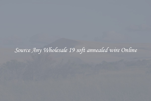 Source Any Wholesale 19 soft annealed wire Online
