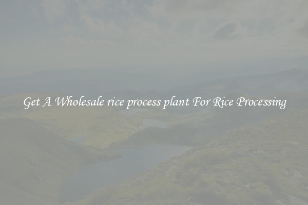 Get A Wholesale rice process plant For Rice Processing