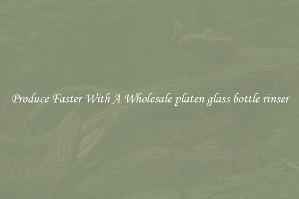 Produce Faster With A Wholesale platen glass bottle rinser
