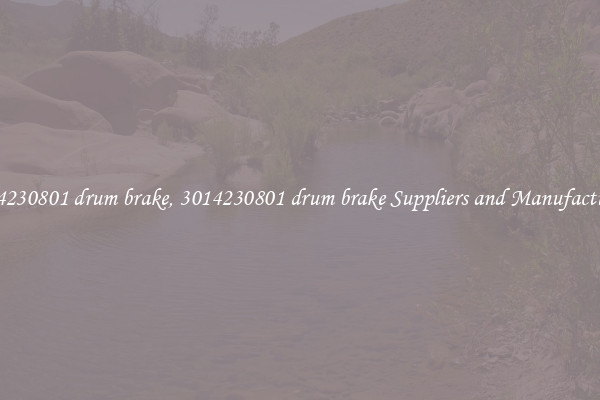 3014230801 drum brake, 3014230801 drum brake Suppliers and Manufacturers