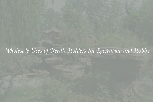 Wholesale Uses of Needle Holders for Recreation and Hobby