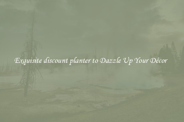 Exquisite discount planter to Dazzle Up Your Décor  