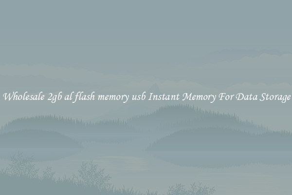 Wholesale 2gb al flash memory usb Instant Memory For Data Storage
