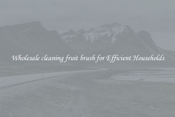 Wholesale cleaning fruit brush for Efficient Households