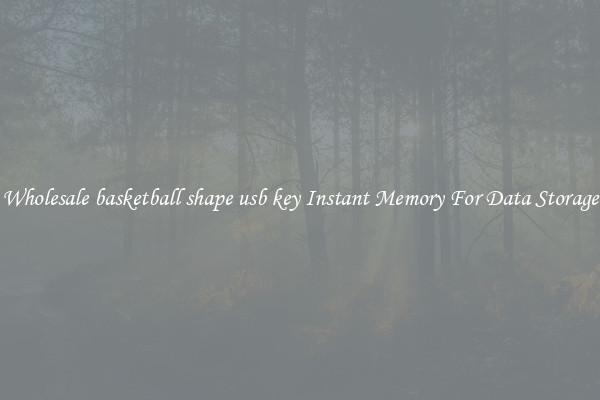 Wholesale basketball shape usb key Instant Memory For Data Storage