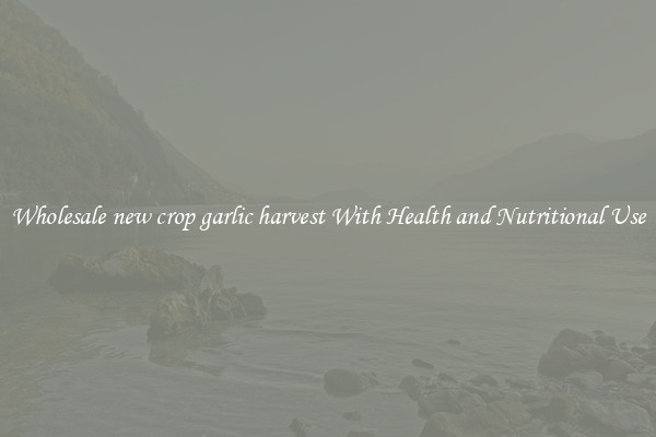 Wholesale new crop garlic harvest With Health and Nutritional Use