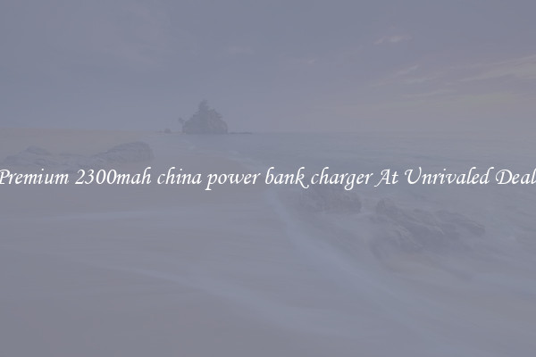 Premium 2300mah china power bank charger At Unrivaled Deals