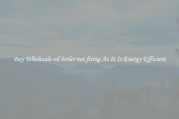 Buy Wholesale oil boiler not firing As It Is Energy Efficient