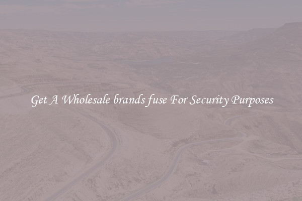 Get A Wholesale brands fuse For Security Purposes