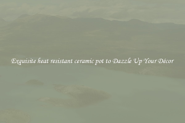 Exquisite heat resistant ceramic pot to Dazzle Up Your Décor 