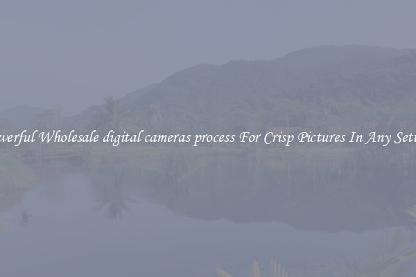 Powerful Wholesale digital cameras process For Crisp Pictures In Any Setting