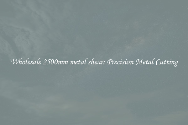 Wholesale 2500mm metal shear: Precision Metal Cutting