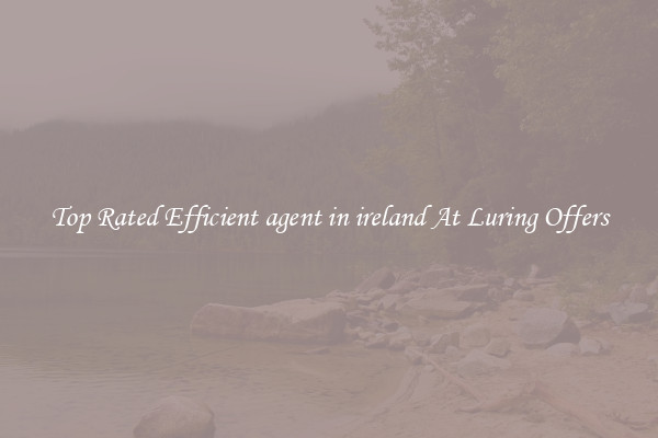 Top Rated Efficient agent in ireland At Luring Offers