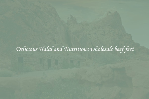 Delicious Halal and Nutritious wholesale beef feet