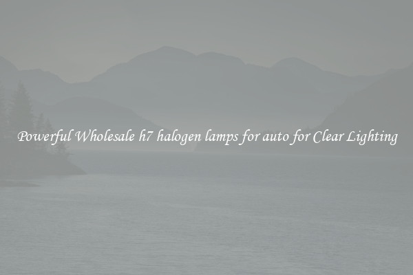 Powerful Wholesale h7 halogen lamps for auto for Clear Lighting