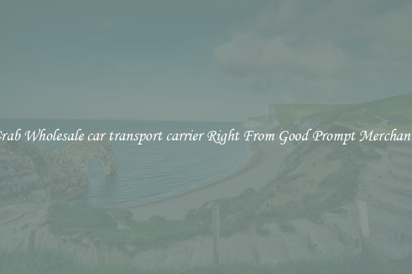 Grab Wholesale car transport carrier Right From Good Prompt Merchants
