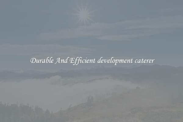 Durable And Efficient development caterer