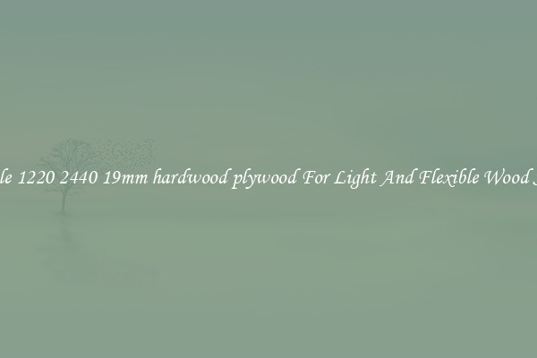 Wholesale 1220 2440 19mm hardwood plywood For Light And Flexible Wood Solutions